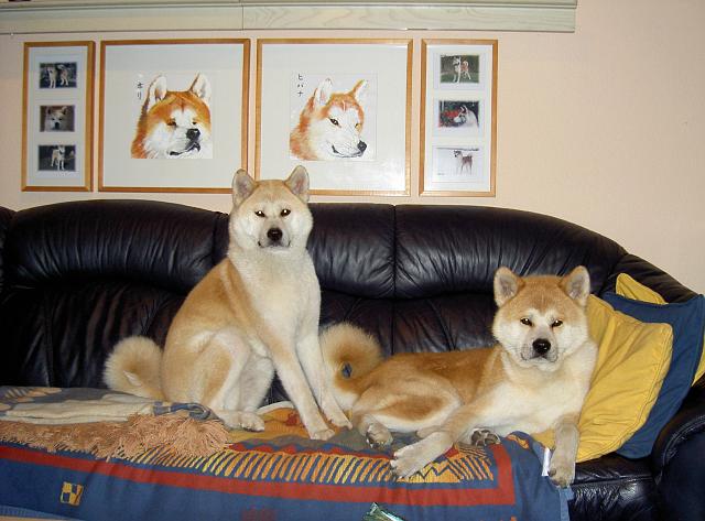 Hori & Hibana aufm Sofa 2.jpg
